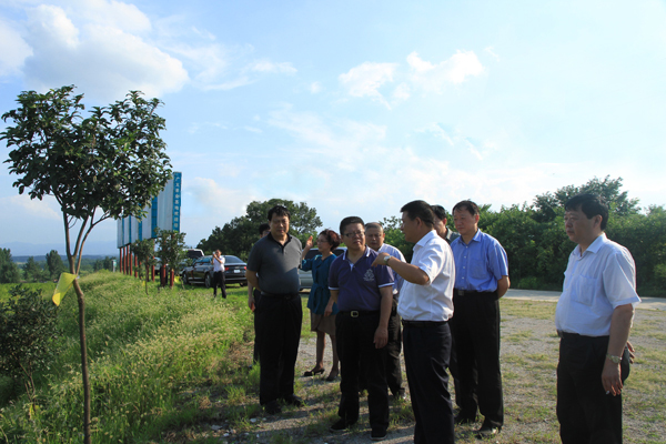 信陽市市長鄭志(zhì)強陪同國家農業部領導到廣義國家級茶葉标準園調研